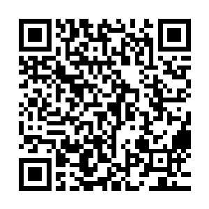 面貌一新的十六人乘坐着世界树叶子在天际划出一道碧绿光芒二维码生成