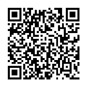 面部由几十道纵横交错的红线组成了两只绽放着血芒的眼睛二维码生成