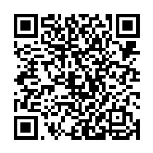 靳子洛还惦记着洛天星没有给乔家生下一个男丁的事情二维码生成