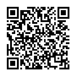 韩公子以后有什么事直接按阿璃的意思办就是了二维码生成