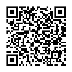 韩守珍有些意外地看着铁窗内老实巴交的农村少年二维码生成