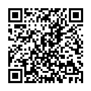 韩服比赛服的这个版本是卡萨丁重做以来的最强版本二维码生成