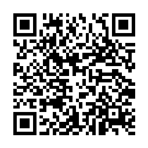 韩松阳直觉就把洪大力想成了那种有特殊审美癖好的人二维码生成