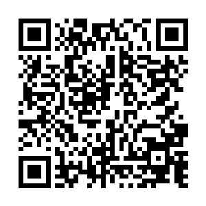 韩珊珊很快就把玉牌逐个发给了我们这些混沌境的仙家二维码生成