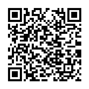 韩风也知道大圣域对这些半圣和普通圣域压迫很大二维码生成