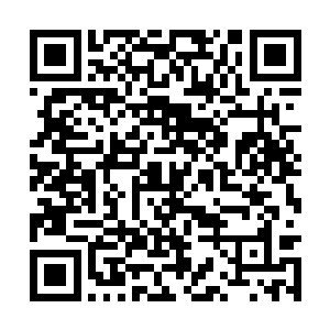 韩风催动九焰天火塔已经不需要付出生命力的代价二维码生成