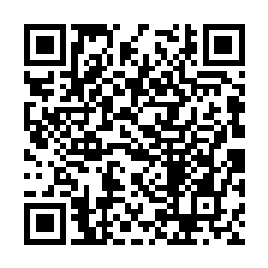 韩风击溃了拥有寻常人阶十星后期战力的人形傀儡二维码生成