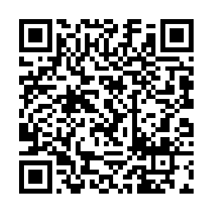 韩风发现朱木神王夫妻竟然是血缘关系极近的表兄妹二维码生成