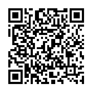 韩风只知道自己在全力施展后有一种异样的畅快感二维码生成