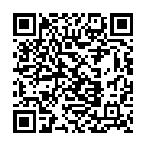 韩风召唤出来的五魔赫然是五魔环第三层禁制的五魔二维码生成