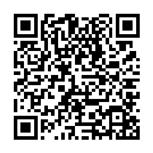 韩风和幻影雷豹哪里会放过这好不容易到手的机会二维码生成