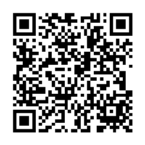 韩风拿出一株当初得到的蕴有生命力精华的药草二维码生成