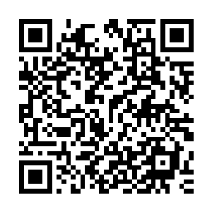 韩风有把握让白大的实力淬炼到堪比九劫真神初阶巅峰的层次二维码生成