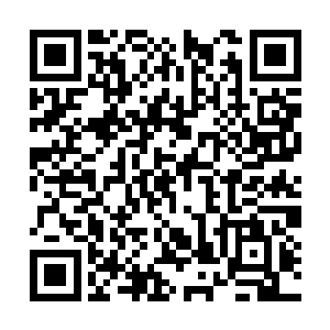 韩风现在掌握的基本上都是地阶上品乃至极品武技二维码生成