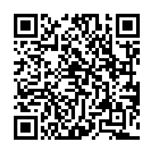 韩风的不朽之力完全可以克制对方的世界之力而获得胜利二维码生成