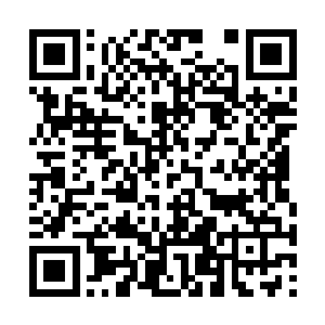 韩风自然知道他进入中央塔会受到老人更多的关注二维码生成