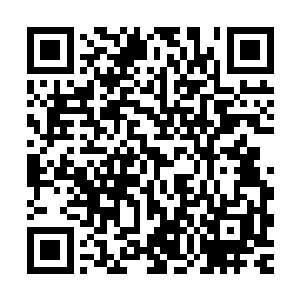 韩风自然知道林辉轩和玄申通两人已经晋升圣域自北都学府归来二维码生成