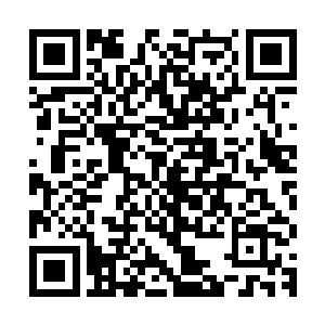 韩风都会以这种介乎于下品资质和中品资质之间的修行速度修行二维码生成