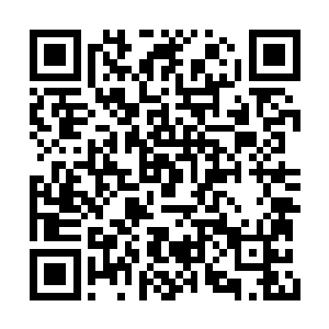 顶多是让这些狗站起来趴下之类的简单动作表演二维码生成