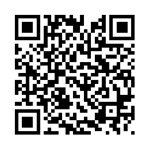 顷刻间变成一条褐黄色的麻布袋子二维码生成
