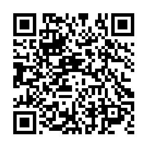 顷刻间直接化作一道流光朝着南域的方向飞掠而去二维码生成