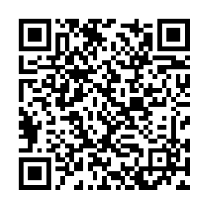 项松也顾不得自己因为消耗巨大而大汗淋漓的身体二维码生成