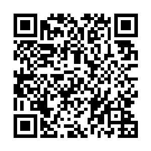 项目上获得的收益分成中有百分之五属于南希·约瑟夫森二维码生成