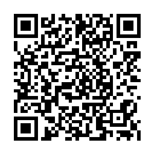 顺便也把紧挨着别墅区的那个沼泽地给利用起来二维码生成