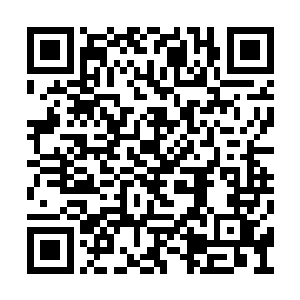 顺便带着异常急迫的心情搜索了一下爱情动作片二维码生成