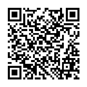 顺便被别的老头摸摸脑袋夸奖两下就算完成了任务二维码生成