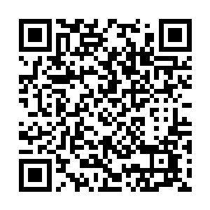 顺便还会用显微镜把你过去几十年的生活都查一遍二维码生成