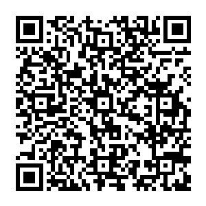 顺带着让她把照片给母亲看一下只要看到胡三婶还有秋生这俩人什么误会都没有了二维码生成