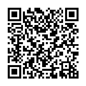 顽强的人们在被大灾变重新拖回到进化的起点之后二维码生成