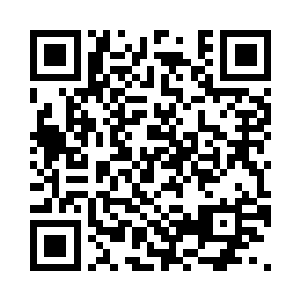 顾倾欢眸子灵动地在夜色中烂漫流动二维码生成