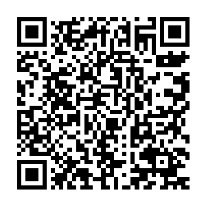 顾子铭和蔡亚琴看到如此巨大的麻烦竟然就被雷志虎一记耳光就抽没了二维码生成