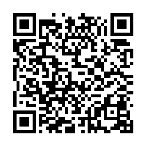 顾晓萌知道丁长生在老家海阳县有个蓝莓种植基地二维码生成