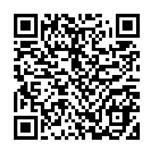 顾老爷子看见季疏云眼底的光芒就知道她有要事和和其他人商量二维码生成