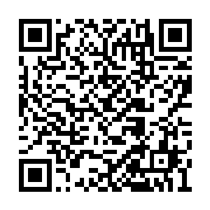 顾锦朝又想起前世顾锦贤可是累官至刑部尚书的二维码生成