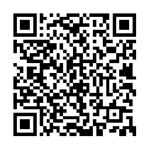 顿时一道道无比玄奥的波动也是从上面散发出来二维码生成