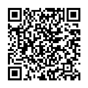 顿时不少龙族天才望向韩风的目光便幸灾乐祸起来二维码生成