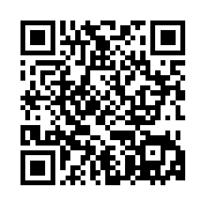 顿时便从其中飞出了许多的小飞虫二维码生成