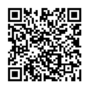 顿时出现十几个黑衣人把洛悠悠他们几个团团包围住二维码生成