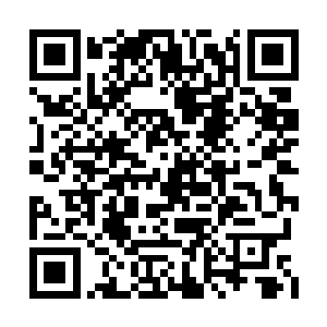 顿时前方接近到三十余米大量虫子全被被定住了二维码生成