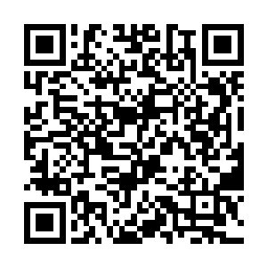 顿时又是各自拎起了自己的拳头朝着龙王轰砸了过去二维码生成