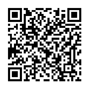 顿时只见一个满脸yin沉的老者满脸贪婪的望着自己二维码生成