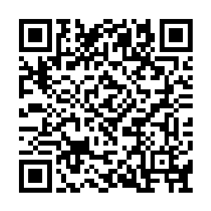 顿时只见潜龙战队的成员直接将其全部拦了下来二维码生成