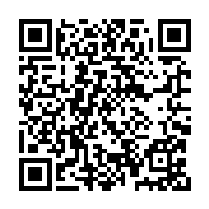 顿时只见那血色的光罩猛地开始剧烈的颤抖起来二维码生成