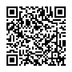 顿时她识海中就像是被一条条的数据充满了一样二维码生成