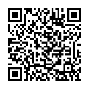 顿时宇文府中的两个侍卫立刻冲上来就要抓江帆二维码生成