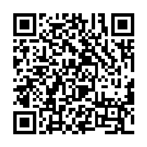 顿时将双子圣骑的脑袋朝着射手圣骑的脑袋撞了过去二维码生成